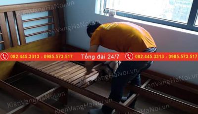 chuyen-nha-tron-goi-kien-vang (15)
